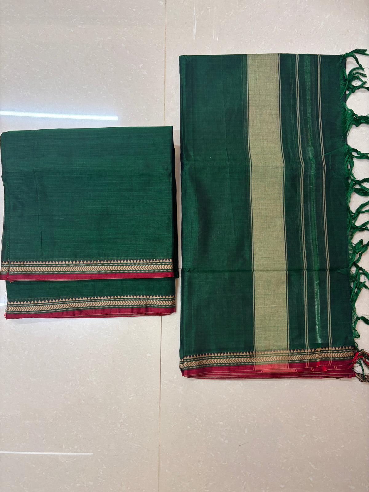 Narayanapet cotton-NP008